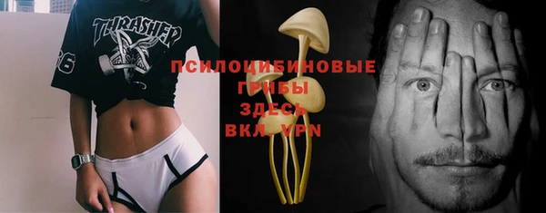 шишки Абаза