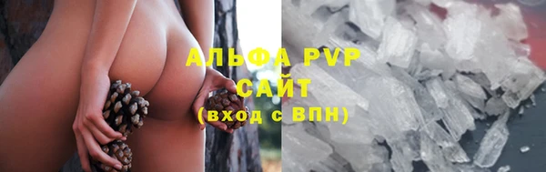 СК Алексин