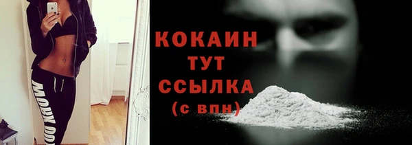 СК Алексин