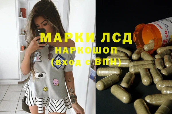 СК Алексин