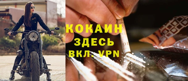 СК Алексин