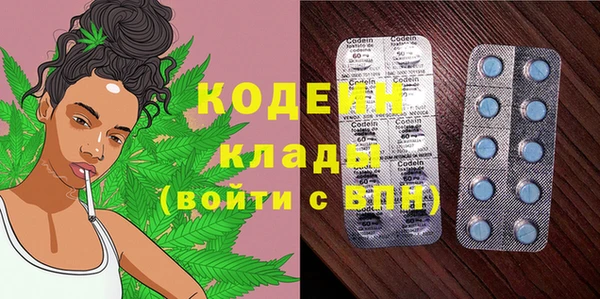 шишки Абаза