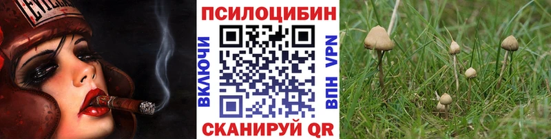 Галлюциногенные грибы ЛСД Новомичуринск